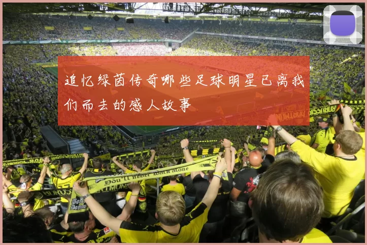 追忆绿茵传奇哪些足球明星已离我们而去的感人故事