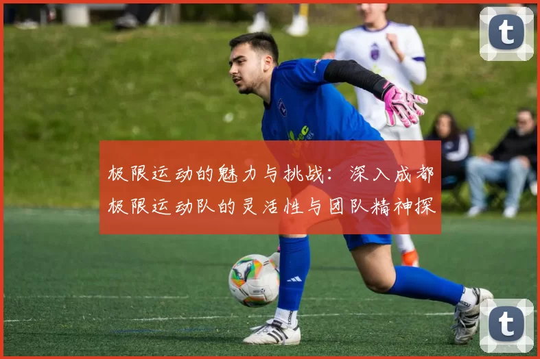 极限运动的魅力与挑战：深入成都极限运动队的灵活性与团队精神探索