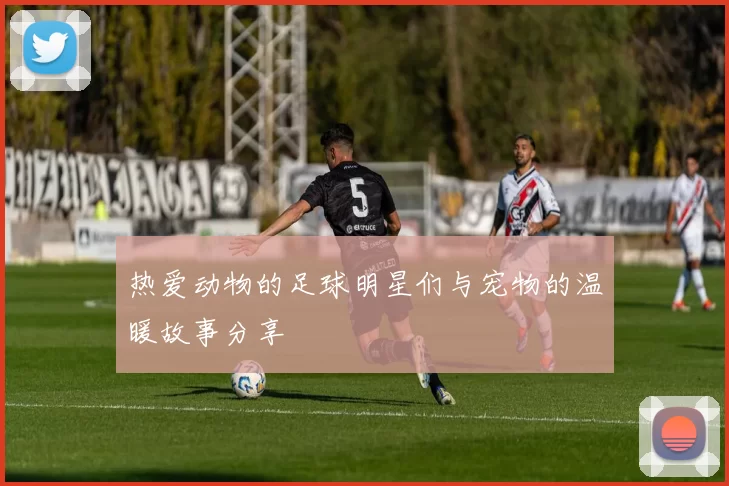 热爱动物的足球明星们与宠物的温暖故事分享