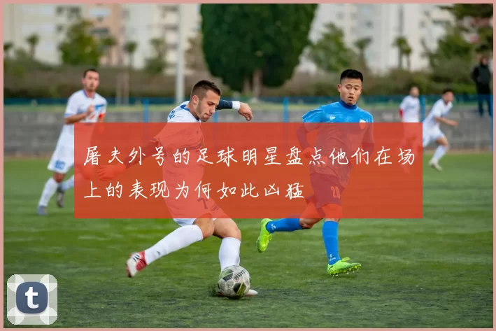 屠夫外号的足球明星盘点他们在场上的表现为何如此凶猛