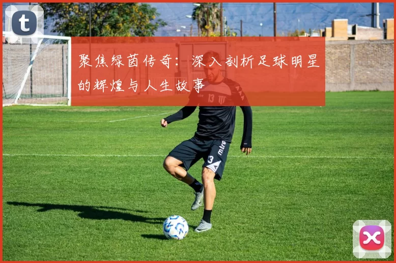 聚焦绿茵传奇：深入剖析足球明星的辉煌与人生故事
