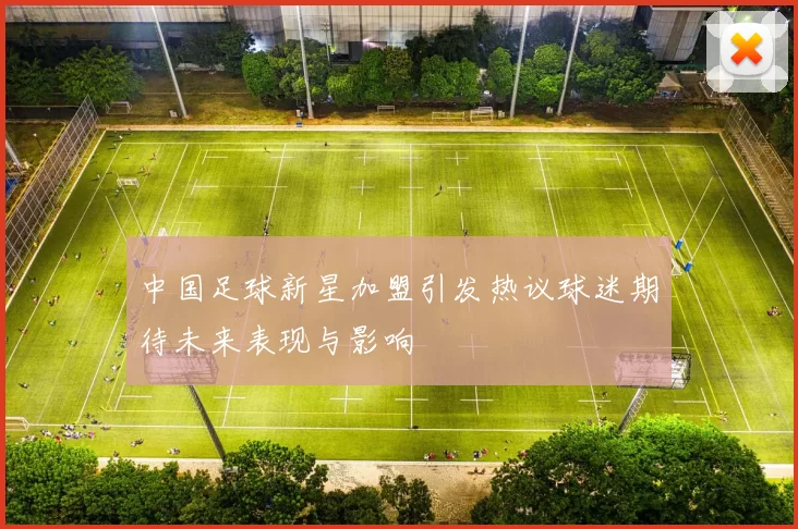 中国足球新星加盟引发热议球迷期待未来表现与影响