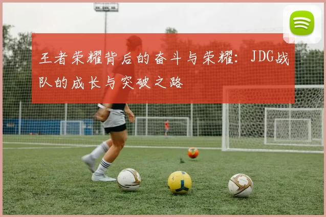 王者荣耀背后的奋斗与荣耀：JDG战队的成长与突破之路
