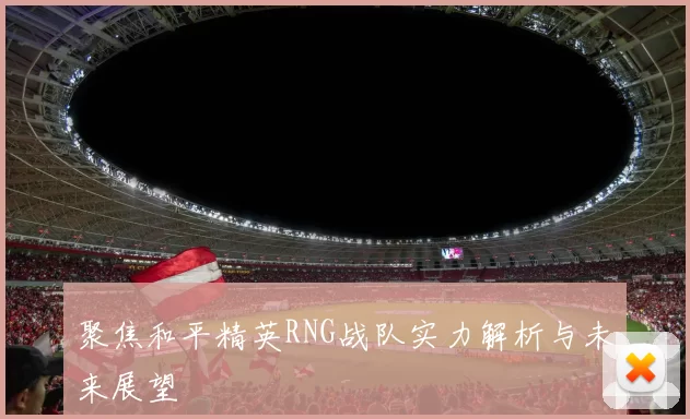 聚焦和平精英RNG战队实力解析与未来展望