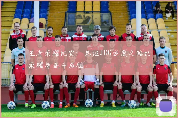 王者荣耀纪实：见证JDG逆袭之路的荣耀与奋斗历程