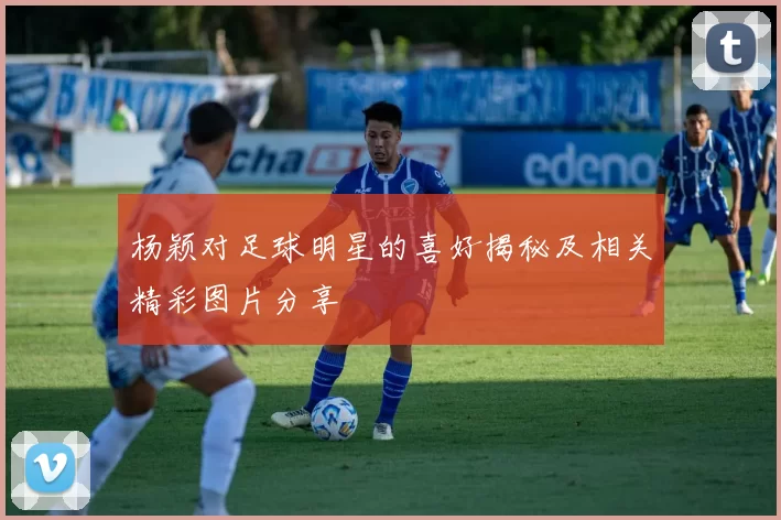 杨颖对足球明星的喜好揭秘及相关精彩图片分享