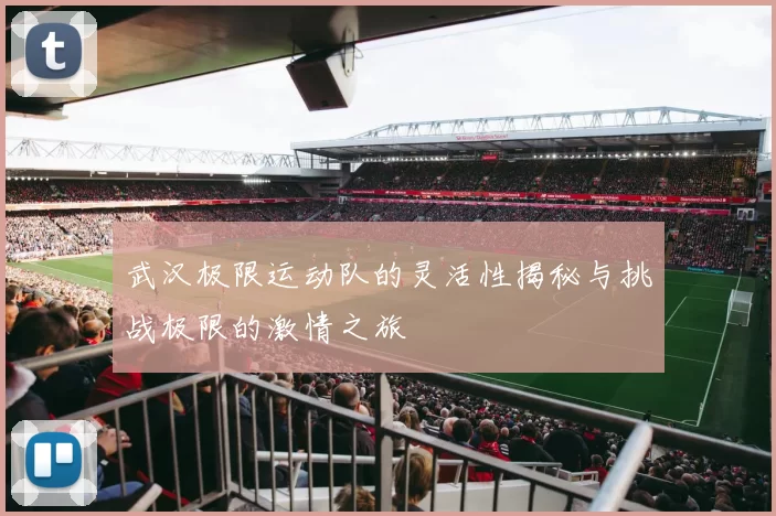 武汉极限运动队的灵活性揭秘与挑战极限的激情之旅