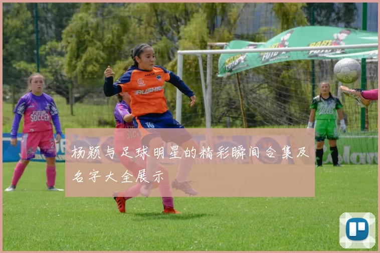 杨颖与足球明星的精彩瞬间合集及名字大全展示