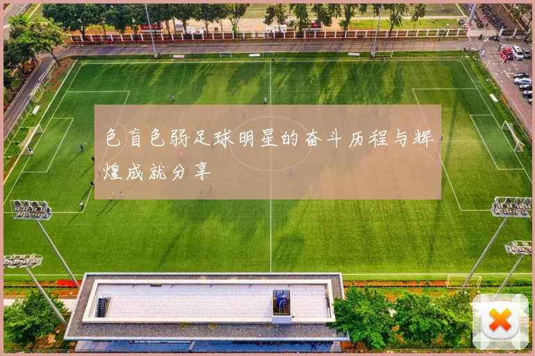 色盲色弱足球明星的奋斗历程与辉煌成就分享