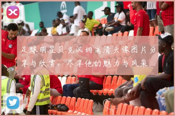 足球明星贝克汉姆高清头像图片分享与欣赏，尽享他的魅力与风采