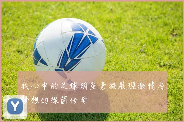 我心中的足球明星素描展现激情与梦想的绿茵传奇