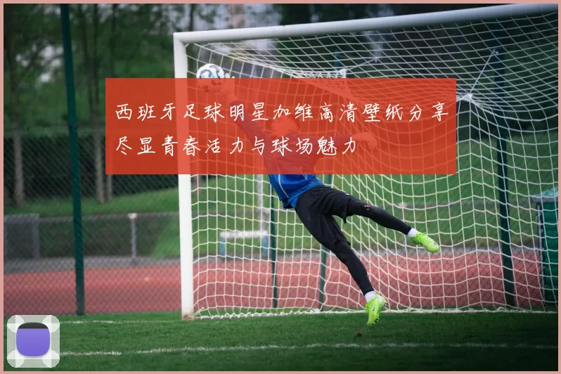 西班牙足球明星加维高清壁纸分享尽显青春活力与球场魅力
