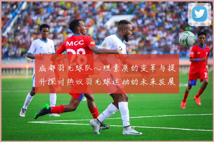 成都羽毛球队心理素质的变革与提升探讨热议羽毛球运动的未来发展
