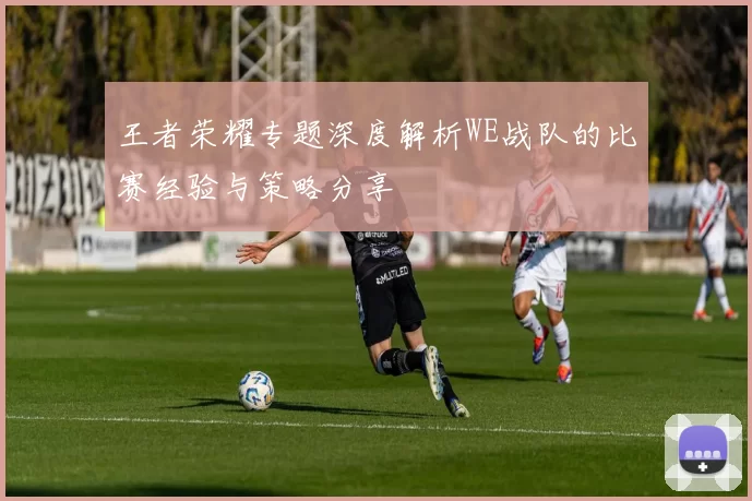 王者荣耀专题深度解析WE战队的比赛经验与策略分享