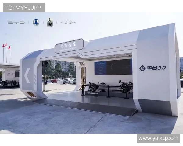 创新科技引领潮流探索运动装备的未来发展趋势与智能化应用