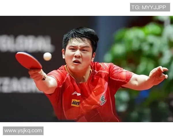 南京乒乓球队中路突破的成功与失败分析及未来发展方向探讨 南京乒乓球队中路突破的成功与失败分析及未来发展方向探讨