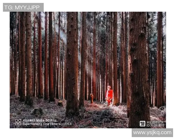 重庆极限运动队心理素质的变革与挑战探讨 重庆极限运动队心理素质的变革与挑战探讨