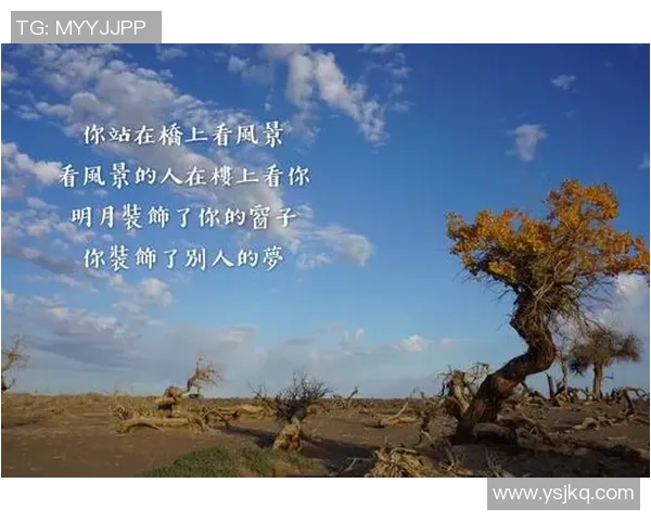 滑板人生的追逐与坚持吴强的成长故事与心路历程 滑板人生的追逐与坚持吴强的成长故事与心路历程